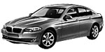 BMW F10 U207U Fault Code