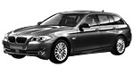 BMW F11 U207U Fault Code